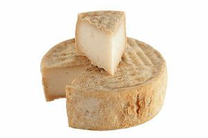 camerano cheese
